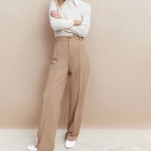 Zara Francoise High Waist Full Length Pin Tuck Pants